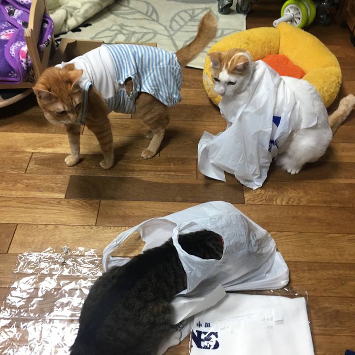 9ce47560 2eb1 4efa 88b8 88dec88a24ea