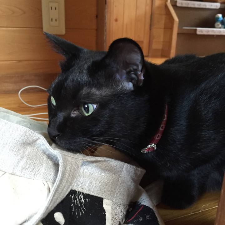 9ce51f59 d3e0 4fbd bbdf f5cefd857584