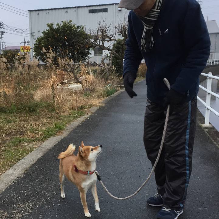 9ce550d0 5072 4de3 aea0 10f255a4e841