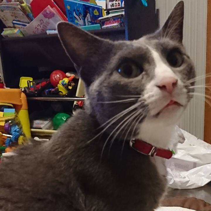 9ce55cc4 6d49 4443 bcb9 a56d0f8452dc