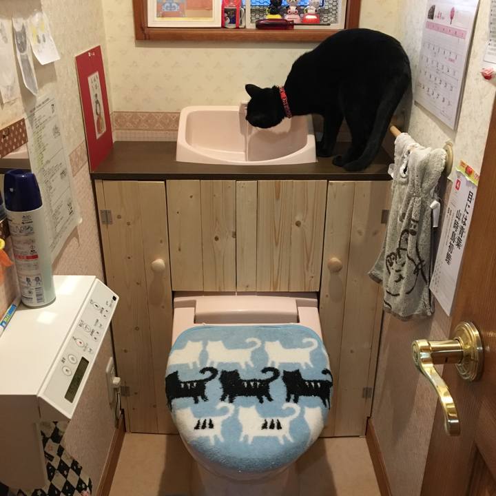 9ce56b35 dfe5 43fb 9214 dc6f409f907f