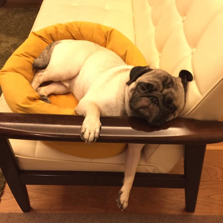 9ce5da30 1595 4197 b161 64e4bc785691