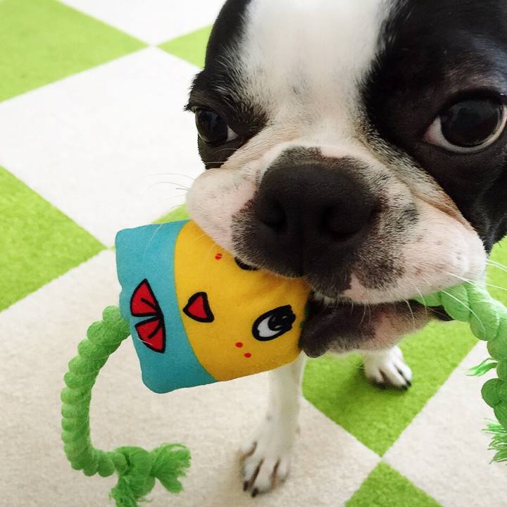 9ce637a3 5092 4fba 95ba dd8b64ecd5da