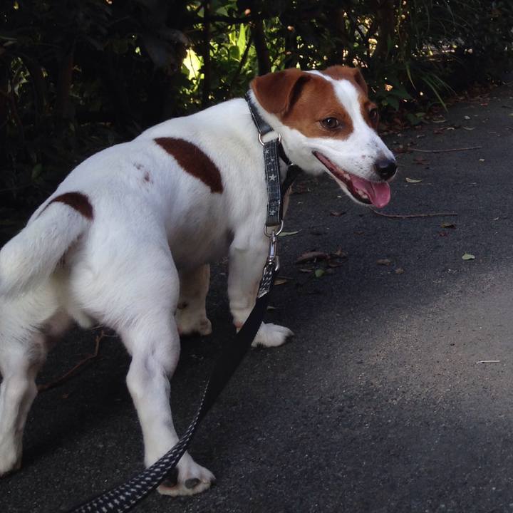 9ce7a8b6 45a3 4249 8c2e 301107251864