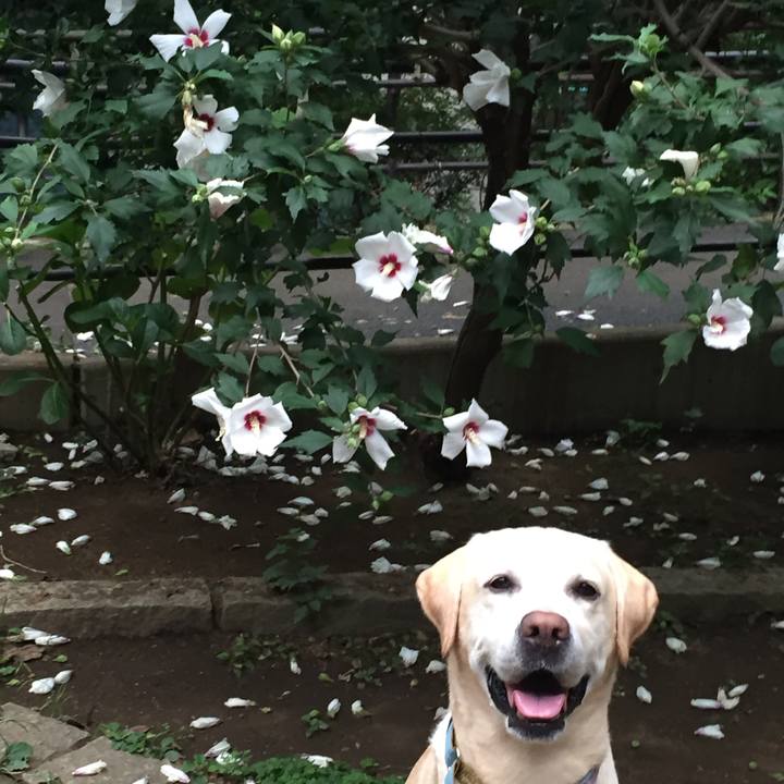 9ce7cac2 e212 4d11 a465 1ddc23084fe0