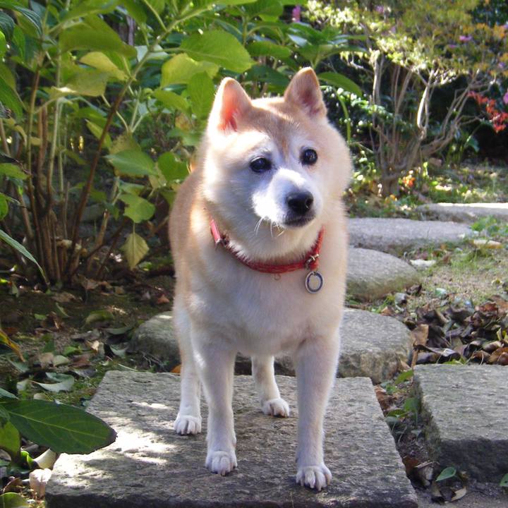 9ce8145c 4b50 4149 8426 ec7c1f485ff5