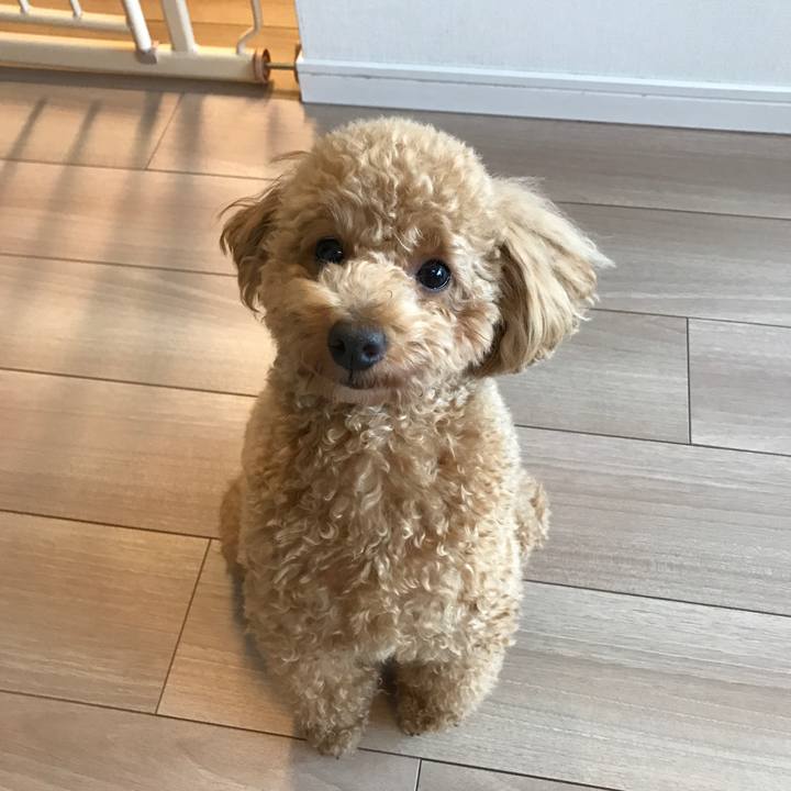 9ce859c1 94fc 4896 b860 5a51cee514e3