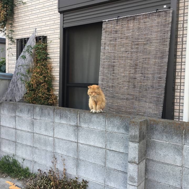 9ce85fbe ec11 432f b407 0e867c6c1988