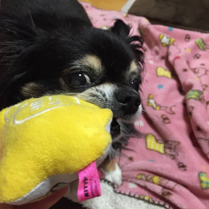 9ce9ed79 095f 4e0b af64 d9a239237017