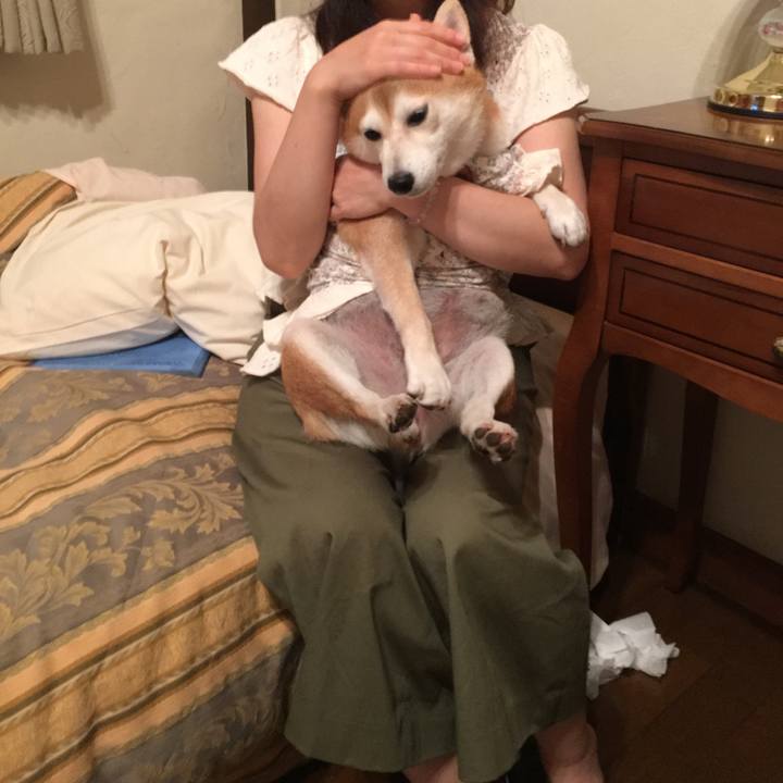 9cead77e 092e 4cad b886 bff29438aa1b