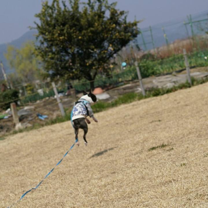 9ceae1e2 4d98 4272 8c5b 166db7cfa1fb