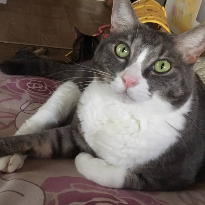 9ceaf6fc df0a 46c8 bb71 7e7e9304f7e8