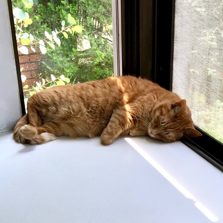 9ceb7561 bc6a 4106 b47f a663cf7e1e26