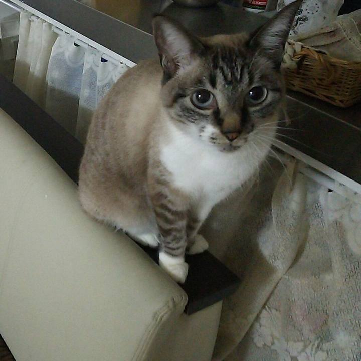 9cecc84a 3c9f 491f b41e bd5b8526a60c