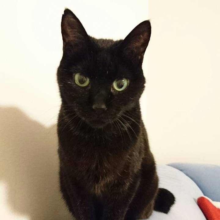 9cedbe9d f955 4951 ab29 dbffe404a0ee