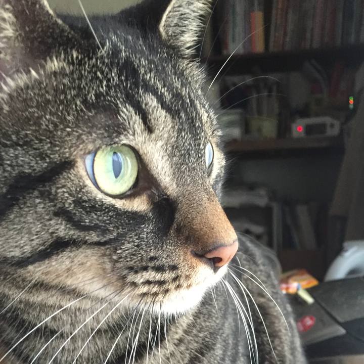 9cee3a6d 62eb 43e3 9ed0 f55cc9492d05