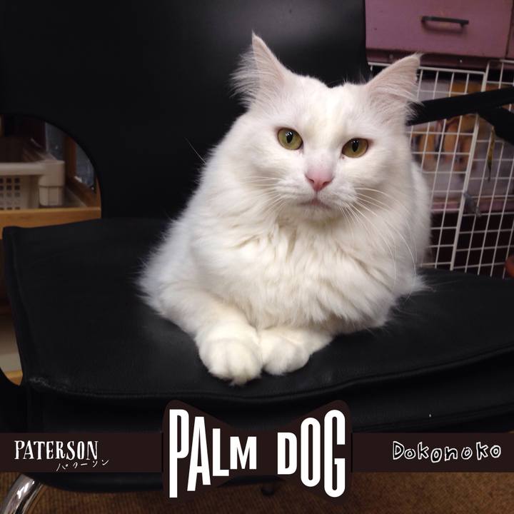 9cefb281 14ec 4051 a389 e73ce9e6ae2c