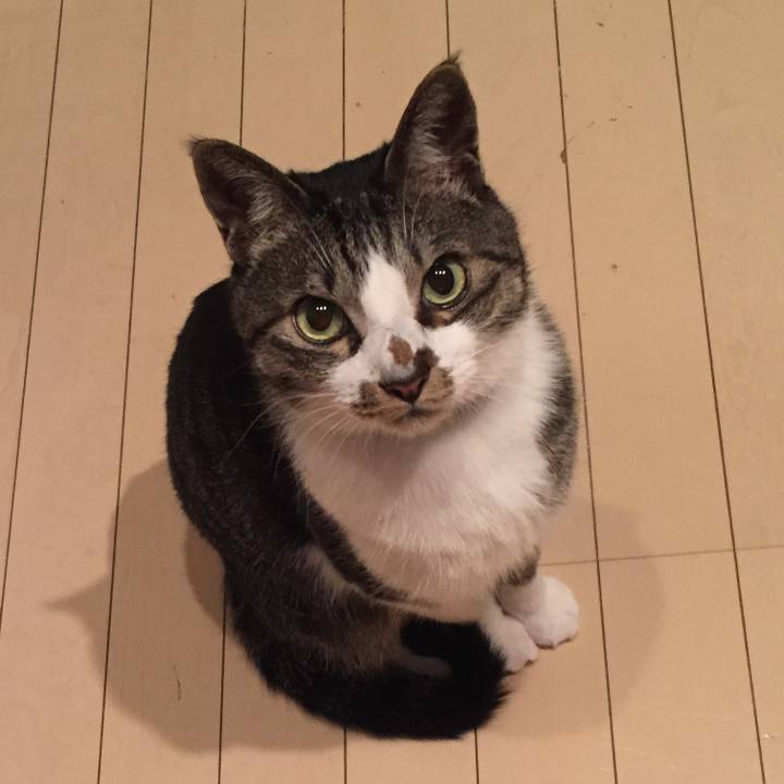 9cf00d56 871a 4150 a524 e2fb4a735de4