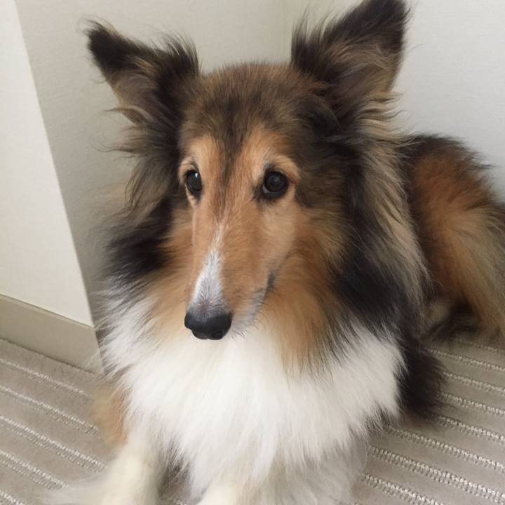 9cf05e04 e5cc 42cc 97b4 1a7d0dd01106