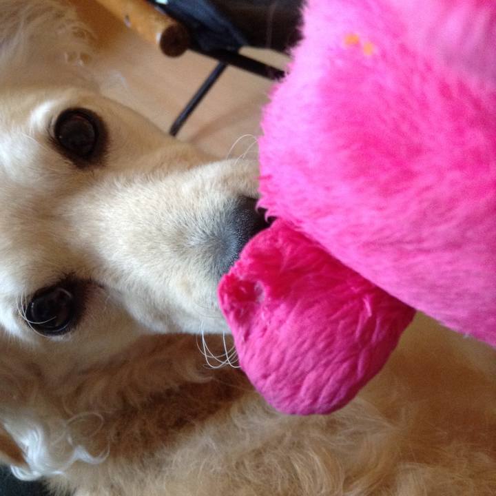 9cf0d645 dd3a 474e aeb9 c2b94d8707b1