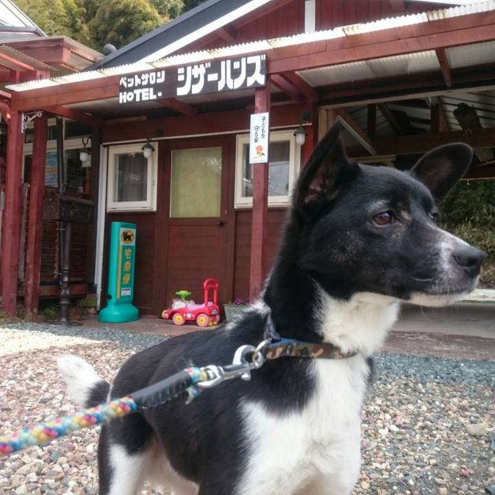 9cf0f5fc e94b 4129 81bc b9d3d4914ecc