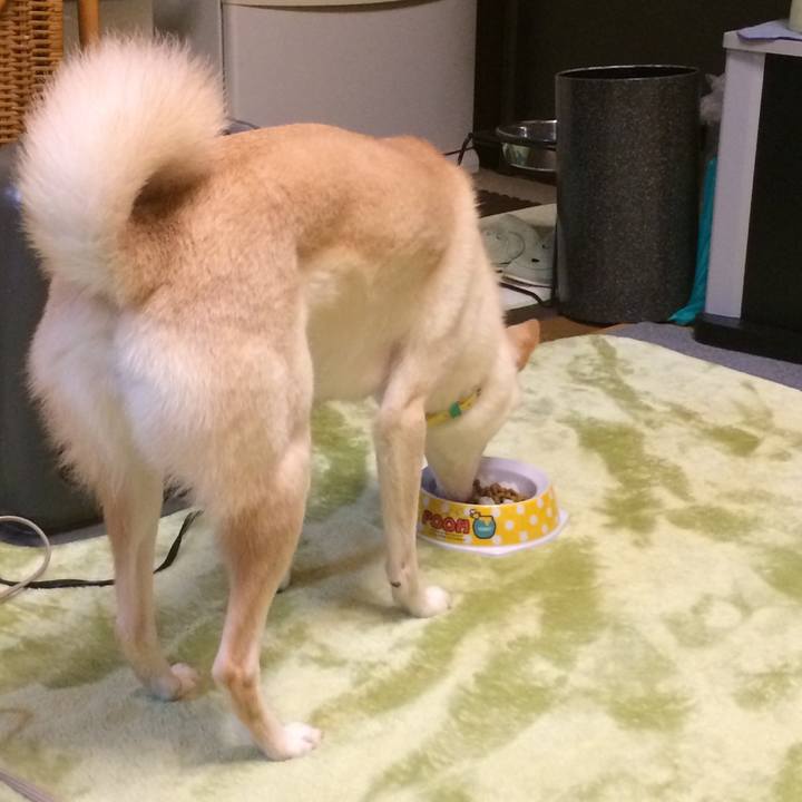 9cf11ec0 89d4 4865 91e6 c253af25a0bb