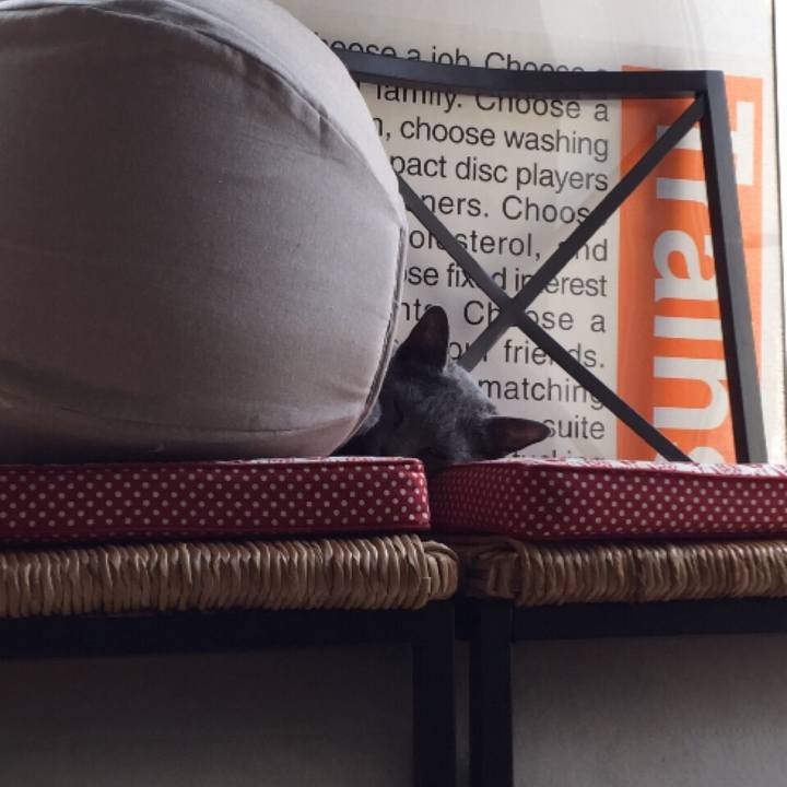 9cf21ac0 0632 477e 8704 790bffa5ce55