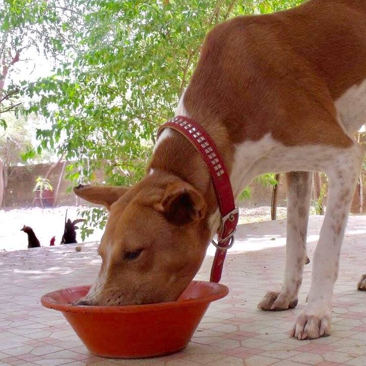 9cf24954 0a50 4428 97f3 62daf4aaa9d7