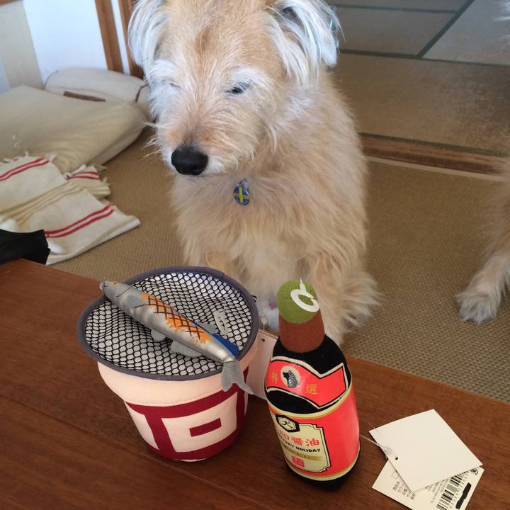 9cf2e3e3 b51f 4a5e 9a89 f306c7164ec1