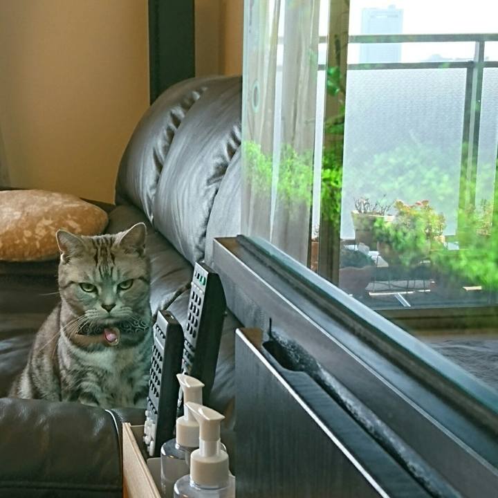 9cf2e4f2 6693 4fef a1e8 6e53319e65cd