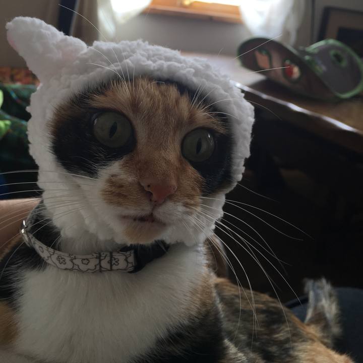 9cf3871e b987 45d7 8961 e1584dd33ab6