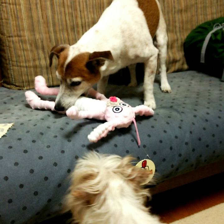 9cf3b0f2 ac1e 49b0 96d2 0bfbe377ba74