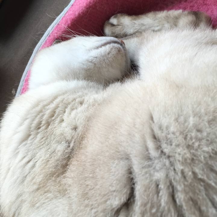 9cf3d0e3 023b 4f8f ab3f 7b9d9b0e4faa