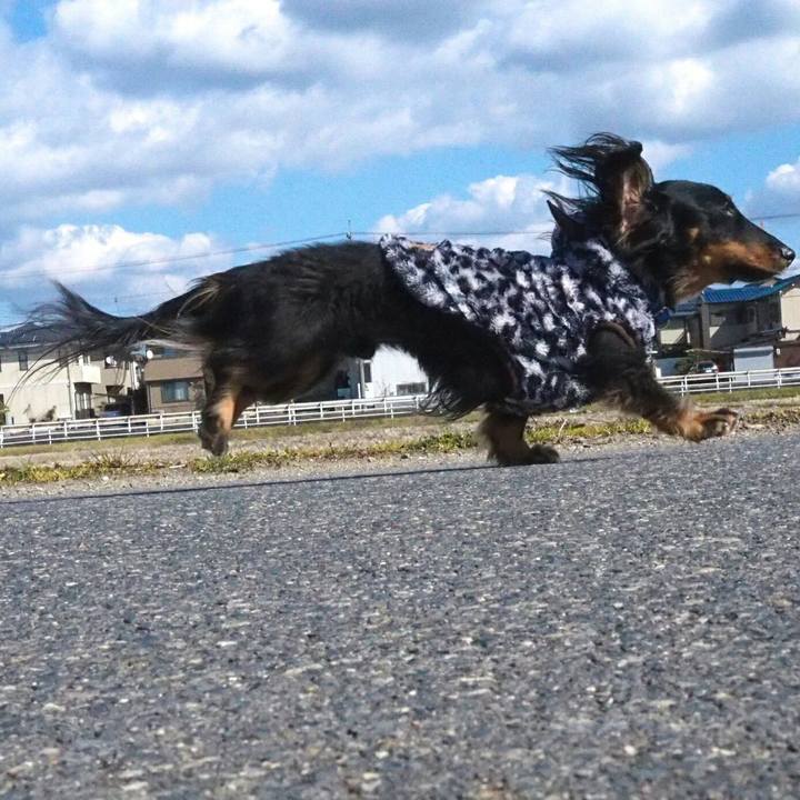 9cf45f70 94cd 4301 b15f b187ae3c809d