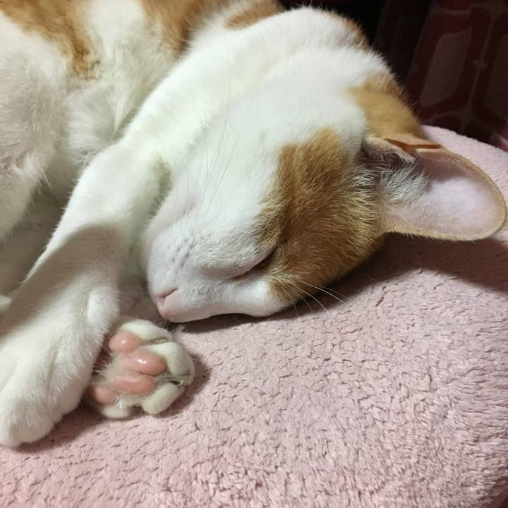 9cf47999 831d 43d1 9848 a8baf0db1075