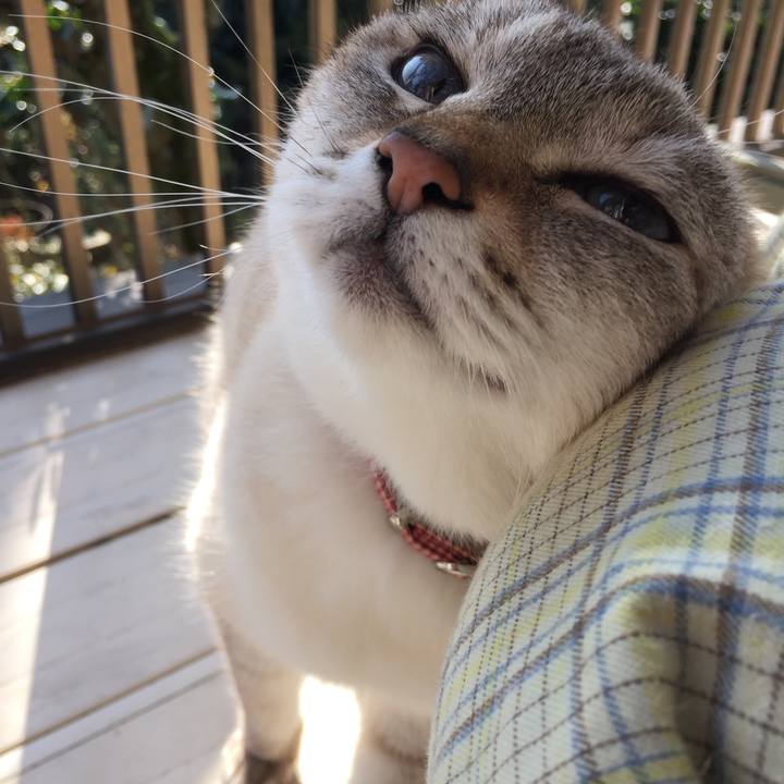 9cf4a07f 85b2 4f63 9714 70835c937351