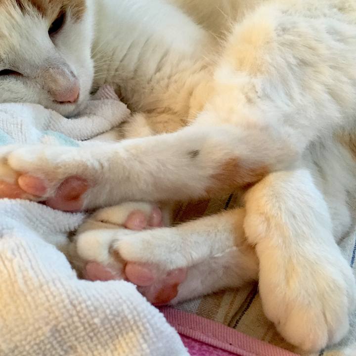 9cf52abe 6f19 450e 9832 8aebf0098b1a