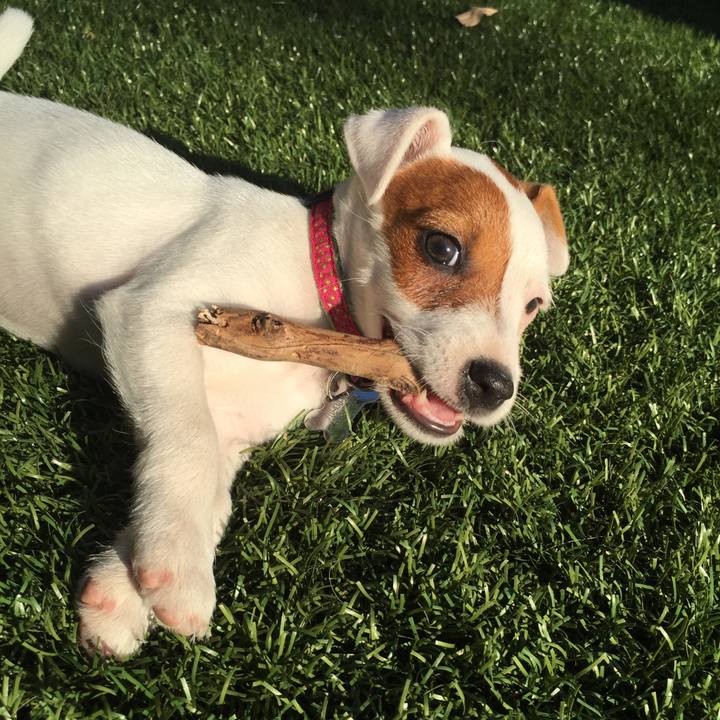 9cf6b077 317d 4550 9ab6 247cdb8e2b8d