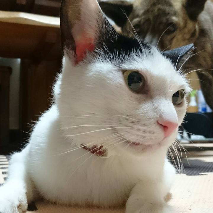 9cf6b882 93e8 4143 beba d35a6413506b