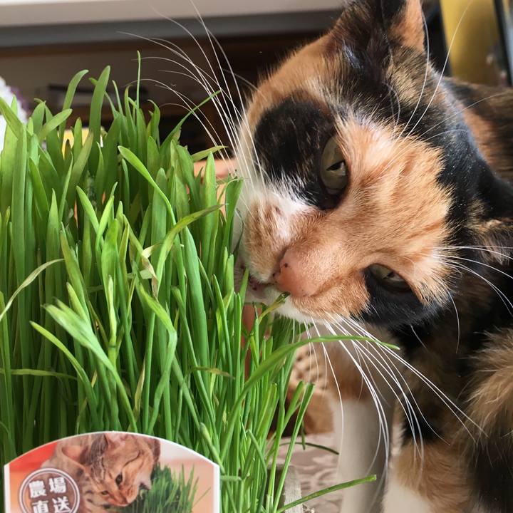 9cf6e2a7 2a94 491a a2f2 7f1fba400fdd