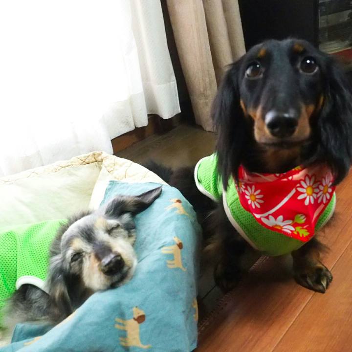 9cf6e61f 308a 4436 b89f 3dc97d4c4030