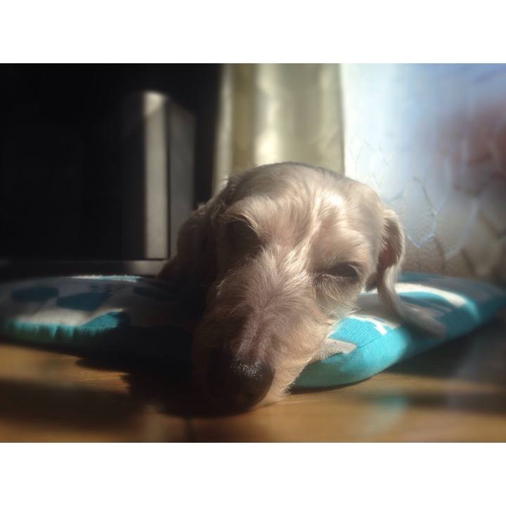 9cf7042c 04e0 437a 883f adb53288b8a0