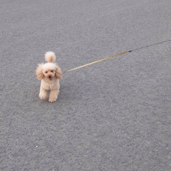 9cf77e17 2315 44c1 acae 64472d35d90d