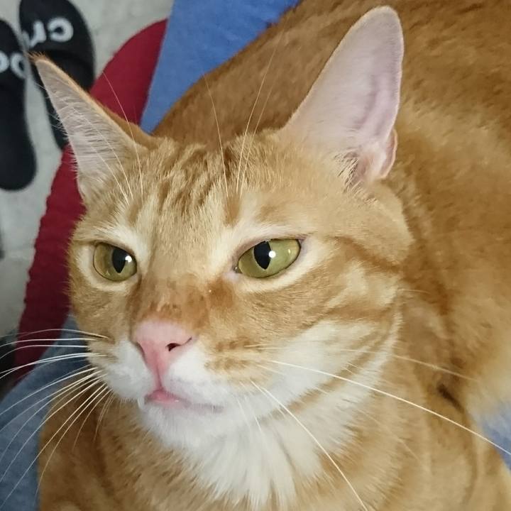 9cf7b25f 5211 4265 a6b2 af2f2936e4e8