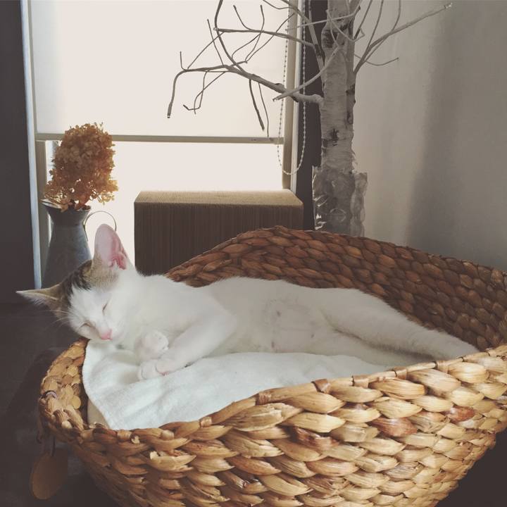 9cf80996 b693 4f76 a6fb 221236b776a2