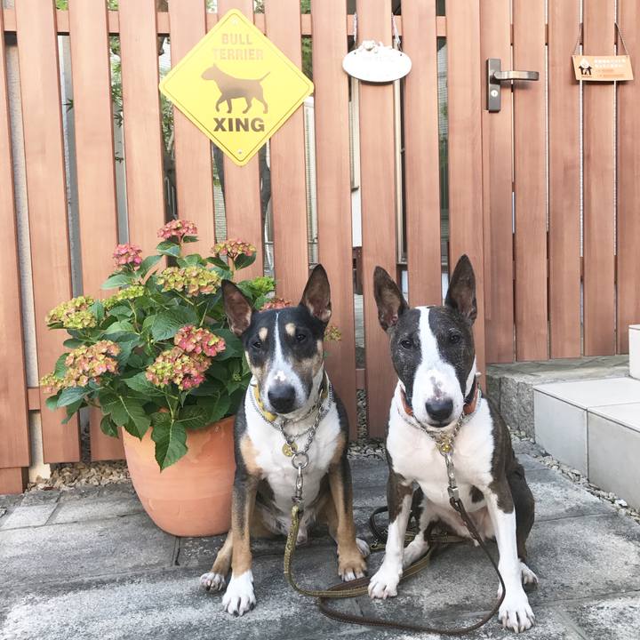 9cf854d8 fabc 4590 86e7 b4df2b8b3038