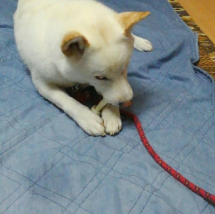 9cf8aec8 aaa6 413e a02c 0d447fafee9f