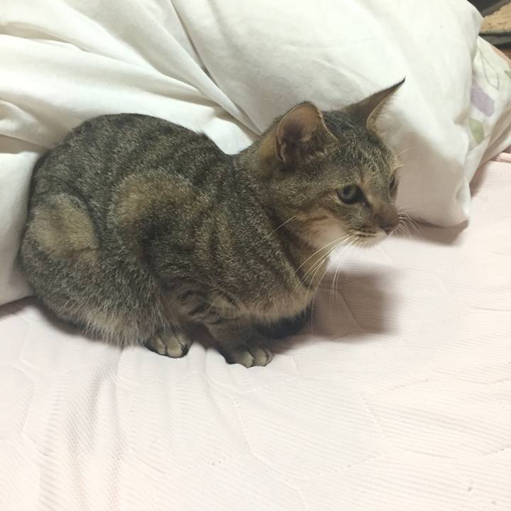 9cf94622 3713 4111 89e7 95be808ba342