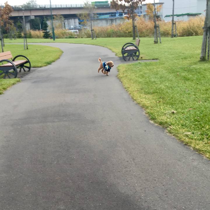 9cf965cb 15e5 4f55 9100 359cb964dfa5