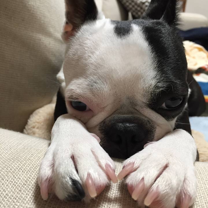 9cf975d6 575f 4dfd 8794 6a1eebe0c169